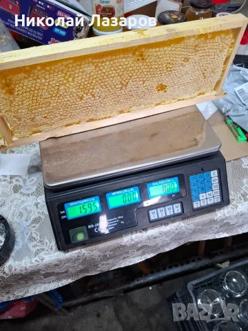 Пчелна пита Див градеж, снимка 3 - Пчелни продукти - 55601062
