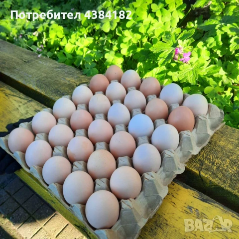 Продавам домашни яйца 