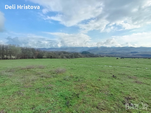 Няколко съседни имота в село Голяма Желязна до язовир Сопот , снимка 2 - Земеделска земя - 54743936