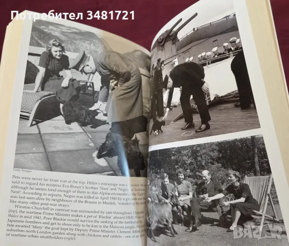 Bonzo's War. Animals Under Fire 1939-1945, снимка 10 - История, политика и общество - 55362731