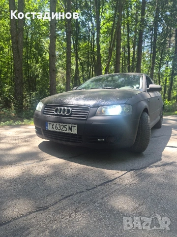 Audi A3 8p 2.0TDI, снимка 9 - Автомобили и джипове - 54973096