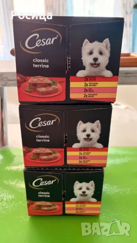 Кучешка храна Cesar, снимка 10 - За кучета - 55595005