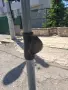 Градински чадър Good Sun, снимка 3