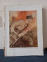 Албум от 1933г. ,,Германия се пробужда. Възход,борба и победа на НСДАП". ,,Sammelalbum", снимка 6