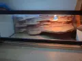 Терариум 100×40×40 см с 3D гръб + осветление, снимка 1