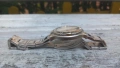 Zenith Defy automatic (леко хлабава коронка), снимка 5