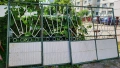 Дворна врата , снимка 2