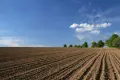 Изкупувам и наемам земеделска земя, снимка 1