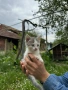 Подаряват се, снимка 1