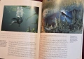 Planet Earth. The Making of an Epic Series, снимка 14