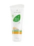 LR ALOE VERA Слънцезащитен комплект, снимка 2