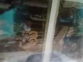 албум фотографии Йордан Йорданов , снимка 2