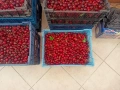 Продава български ЧЕРЕШИ в София от с. Виноградец, Пазарджишко, снимка 4