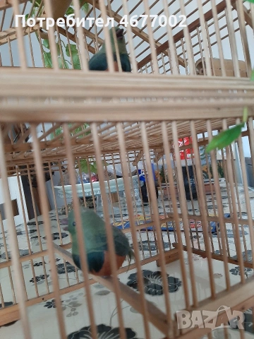 красива декорция, снимка 9 - Декорация за дома - 54317025