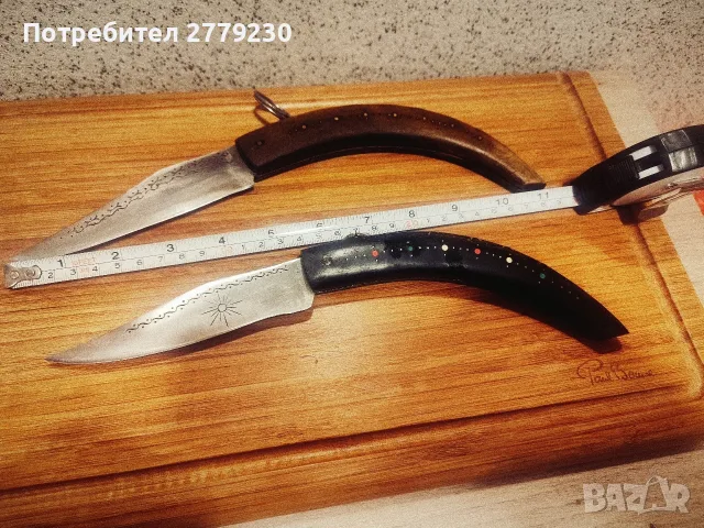 Големи Габровски Сойки Етъра, снимка 3 - Други ценни предмети - 55546286