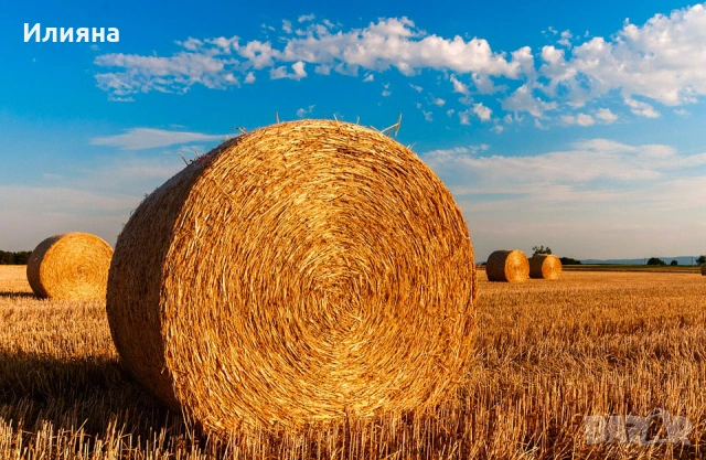 Рулонни бали слама