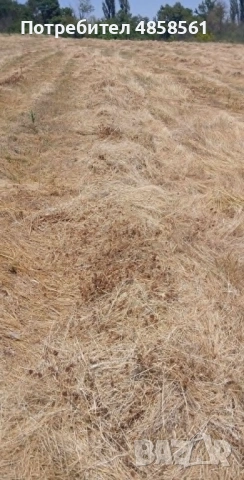 Продавам рулонни бали ливадно село. село Лозен община Любимец. Цена 30 еврo, снимка 3 - За селскостопански - 54930974