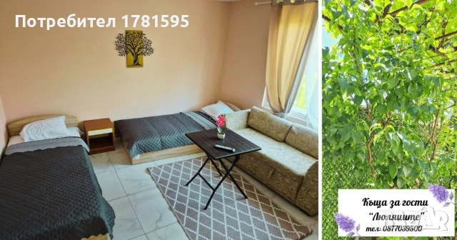 Нощувки , снимка 3 - Квартири, нощувки - 54970667