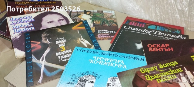 Винилови плочи, снимка 13 - Грамофонни плочи - 54572742