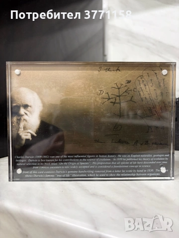 Оригинален ръкопис на ЧАРЛЗ ДАРВИН. Двойно сертифициран!, снимка 3 - Антикварни и старинни предмети - 54096142