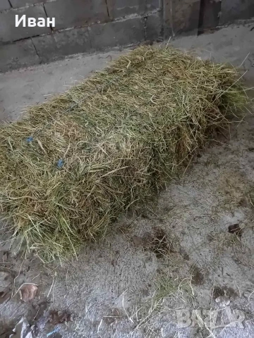 Продава бали сено и бали люцерна