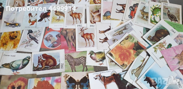 Календарчета -82 броя от 1983 до 1986 година, снимка 4 - Колекции - 54216771