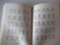 Книга "Ортодоксален Тай Дзи Цюан - Д.Александров" - 364 стр., снимка 9