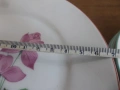 Чинии, снимка 4