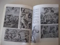 Книга "Голото тяло - Кенет Кларк" - 368 стр., снимка 6