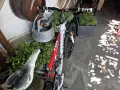 Колело Ferrini force xr, снимка 2