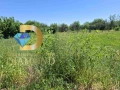 Парцел в село Ястребово, общ. Опан, снимка 2
