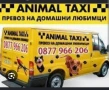 Зоотранспорт на домашни любимци, снимка 2