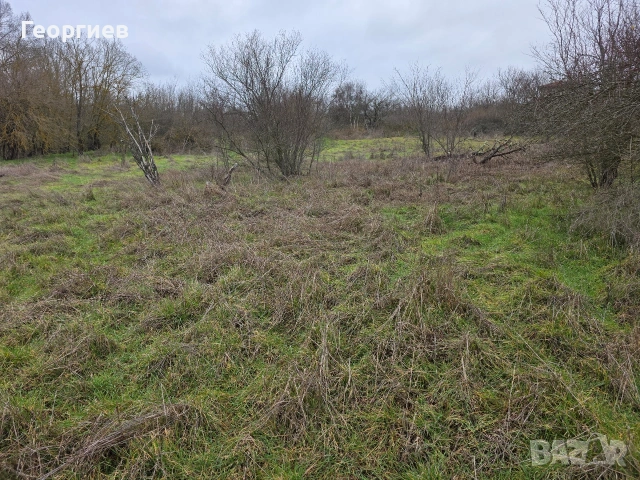Дворно място в регулация в с. Кубадин , снимка 7 - Парцели - 54243263