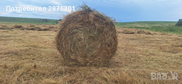Бали Сено, снимка 11 - За селскостопански - 53941423