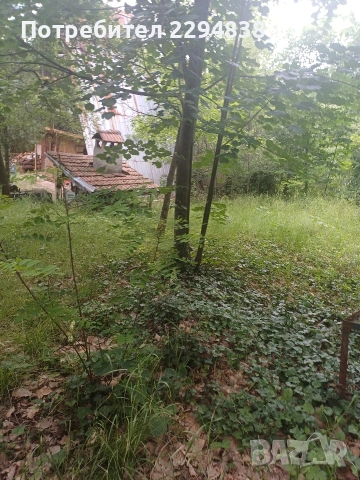 Парцел плюс виличка Войнеговци, снимка 12 - Парцели - 55276032