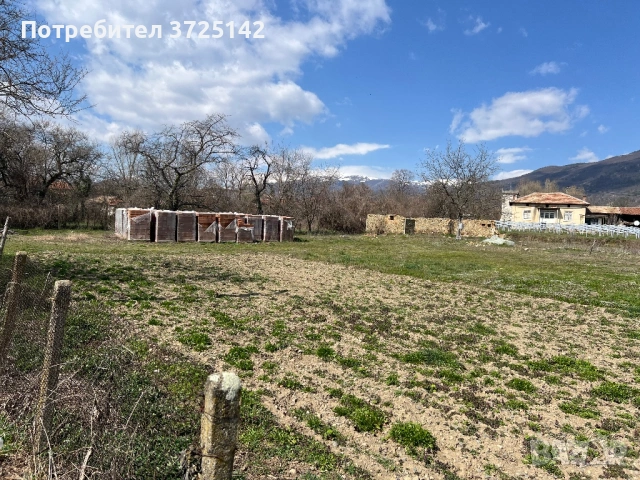 Голям, слънчев парцел, снимка 4 - Парцели - 54017500