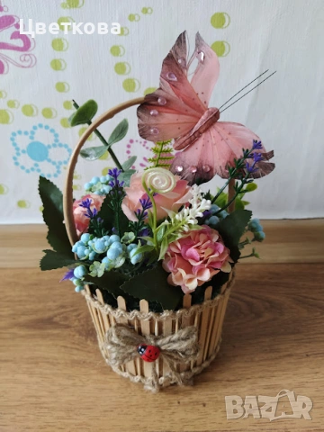 четири различни копривки +отстъпка и подарък, снимка 3 - Стайни растения - 54165471