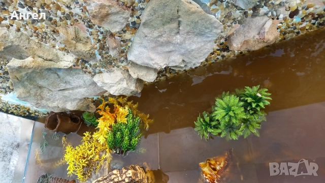 Аквариум за рибки , снимка 2 - Аквариуми - 54006395