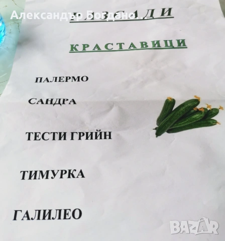 Продавам качествен разсад домати и краставици, от дългогодишен производител! , снимка 10 - Разсади - 54120427