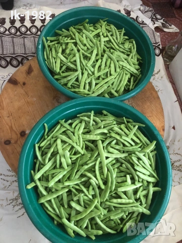 Зелен фасул , снимка 3 - Домашни продукти - 55088957