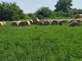 Продавам ролонни бали, снимка 3