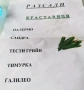 Продавам качествен разсад домати и краставици, от дългогодишен производител! , снимка 10
