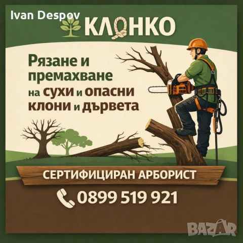 Премахване на опасни клони и дървета | Резитба | Грижа за дърветата