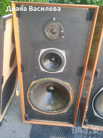 Celestion Ditton 44 monitor speaker, снимка 4 - Тонколони - 55321959