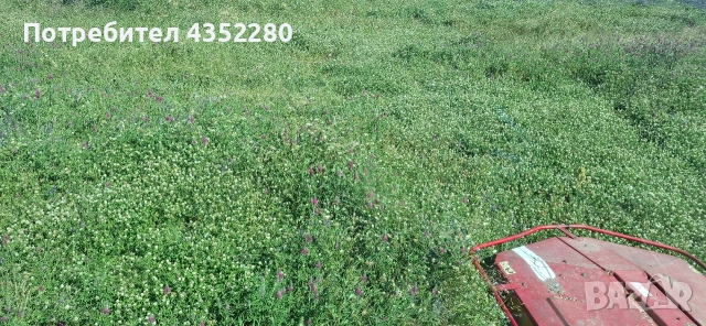 Бали ливадно сено 30€, снимка 4 - За селскостопански - 54998422