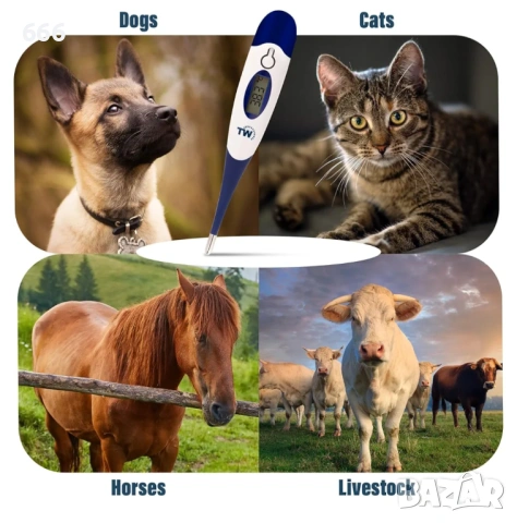 Цифров термометър за домашни любимци, снимка 3 - Други стоки за животни - 54013261