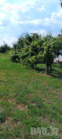 Собственик продава къща в село Златар , снимка 13 - Къщи - 54988924