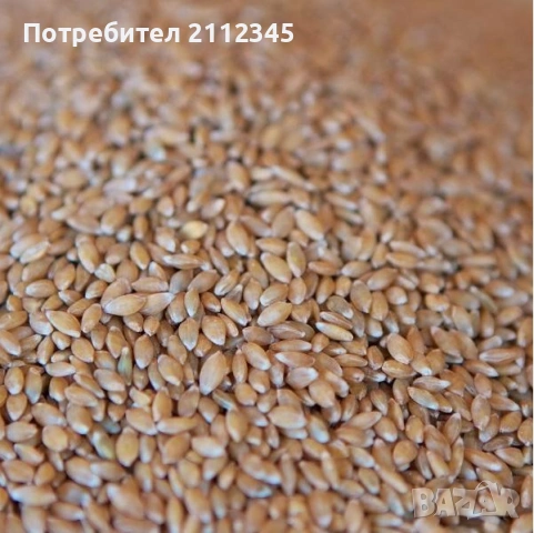 Пълнозърнесто брашно от еднозърнест лимец