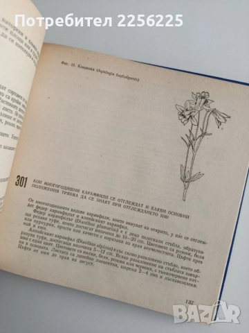 599 Съвета за любителя цветар, снимка 3 - Специализирана литература - 54914771