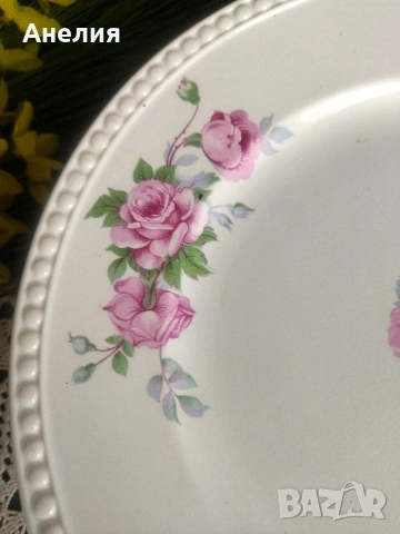 Villeroy &Boch Dresden Saxony 128 годишна антика, снимка 7 - Чинии - 54292201